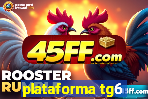 plataforma tg6